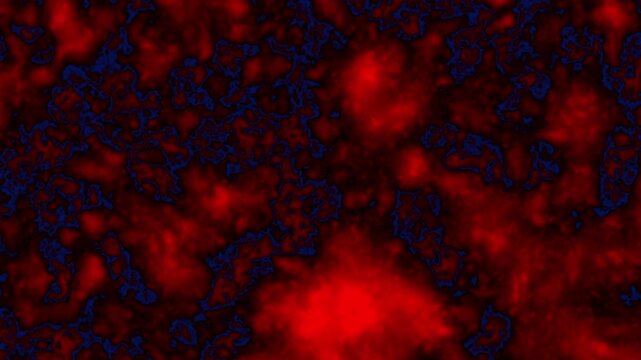 Red Blood Cell Microscopic Liquid Texture Animation