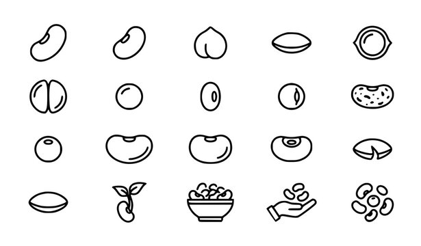 Beans and Legumes Linear Outline Icons with Chickpea Lentil Kidney Bean Soybean Pea and Mixed Pulses