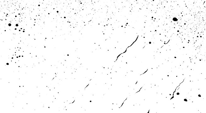 Black Ink Splatter Texture on White Background. Abstract Black Paint Drops and Splashes
