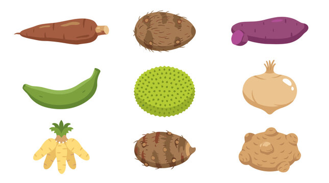 Tropical starchy tubers and exotic root vegetable icons.