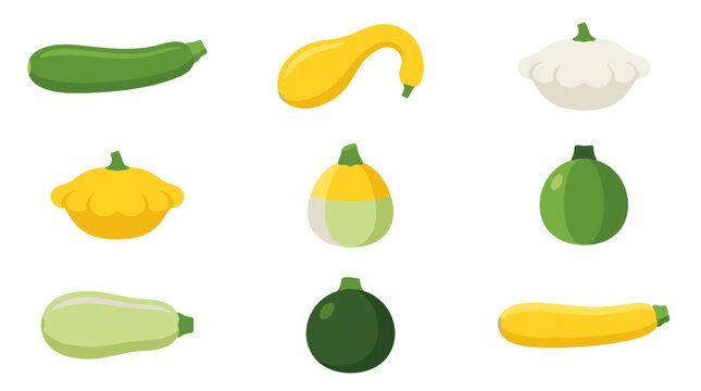 Summer squash, zucchini, and gourd vegetable icons.