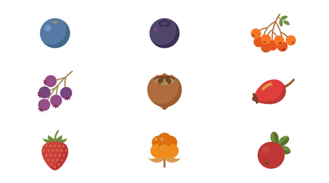 Wild and garden berry flat vector illustrations.