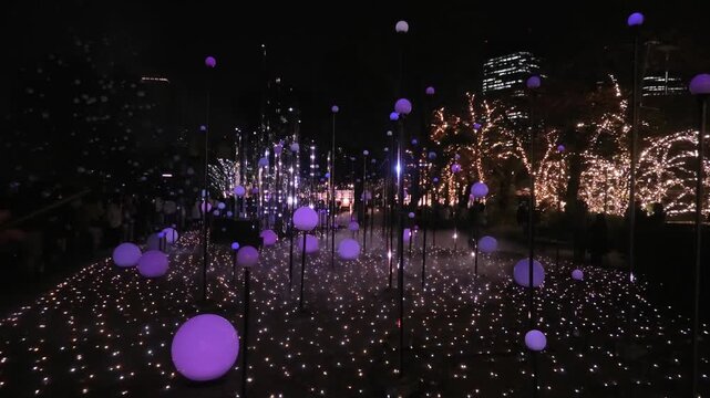 new year 2009
