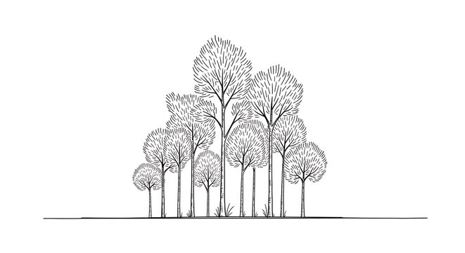 Detailed black and white sketch of a dense forest of tall trees with intricate foliage and branches