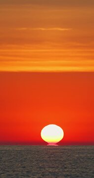 Golden orange sun is rising up over ocean horizon and flying seagull bird over ripple water summer seascape