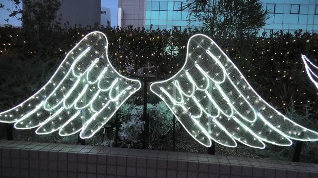 angel wings in the snow