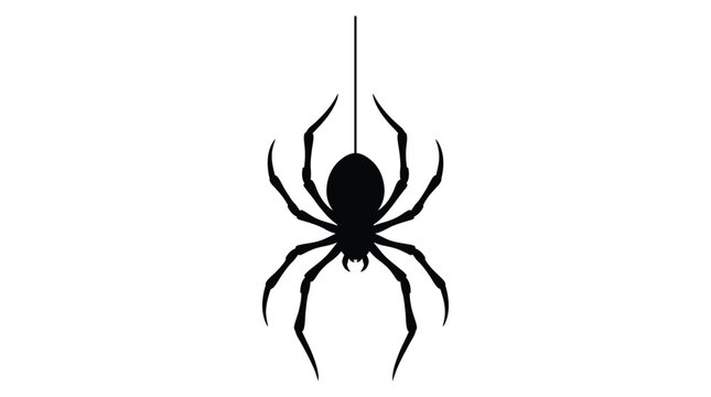 Black spider hanging from a thread a dark silhouette