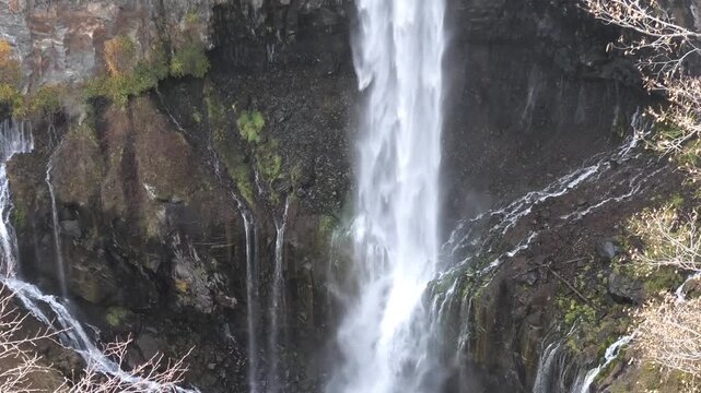waterfall in the forest
