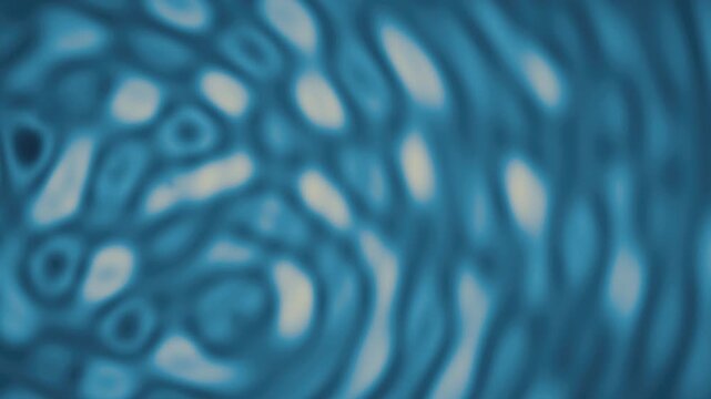 Abstract wave interference moire fringe ripple background seamless loop in vibrant blue tones