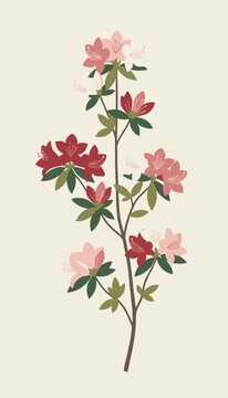 Graceful illustration of an azalea branch adorned with an abundance of red and pink flowers and green leaves, symbolizing vibrant spring and garden beauty.