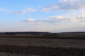 An endless agricultural landscape unfolds over plowed and mown fields under a clear blue sky. Light white clouds drift gently over a distant forest in the soft evening sunlight. © Олег Струс