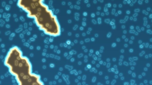 Close-up of colorful bacteria or microorganisms under a microscope