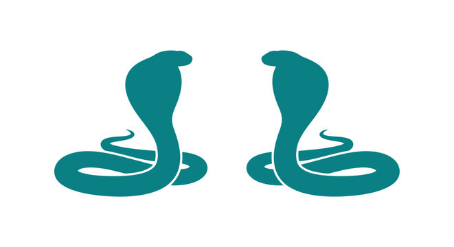 Two cobra silhouettes in teal facing each other on a white background