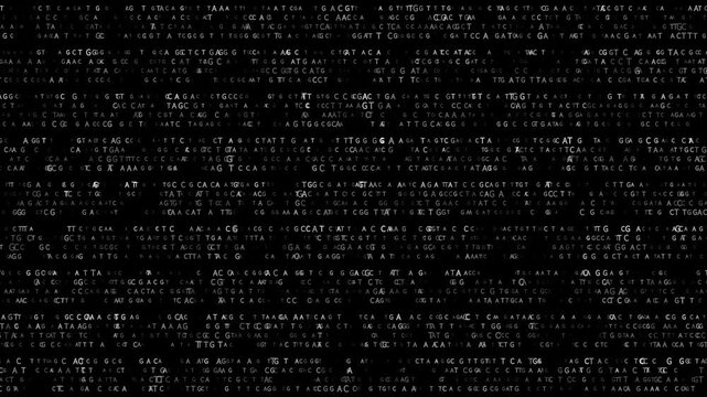Abstract black and white animation of DNA bases Adenine, Cytosine, Guanine, and Thymine (A, C, G, T), seamless loop on transparent alpha channel BG. Perfect for genetics, biotech, and science projects