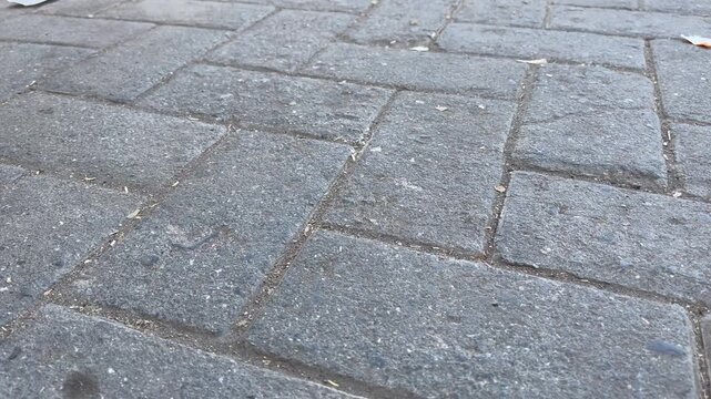 Close Up Surface of Weathered Brick Pavement Walkway