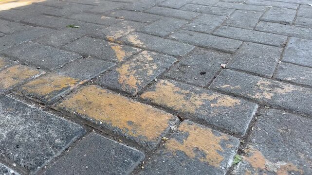 Grey Concrete Paving Blocks Texture with Yellow Line Close Up
