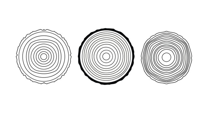 Three tree rings textures displaying circular wood grain patterns from old trunks showing annual growth lines in minimalist black and white outline design.