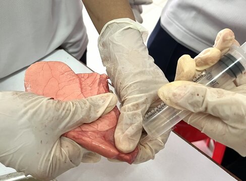 Lungs dissection