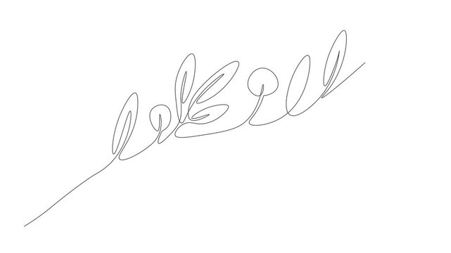 Animated Olive Branch Line Art Drawing Reveal