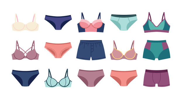 Vector collection of women lingerie undergarments set featuring comfortable bras panties briefs and boxers isolated on white background