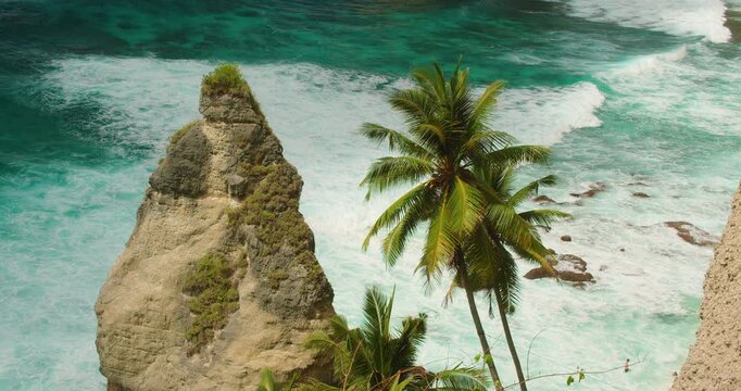 Tropical palm tree and sharp cliff in the ocean at Diamond Beach Nusa Penida Bali