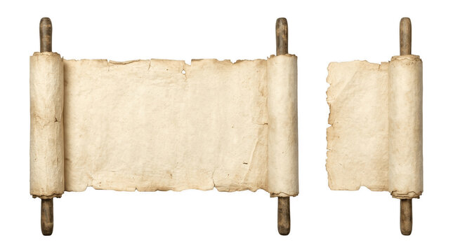 Old parchment scrolls with wooden handles isolated on transparent background, antique paper manuscript graphic element for historical documents and vintage style design projects