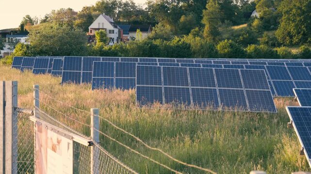 Solar panel farm in grassy rural landscape with residential houses and green trees in background.