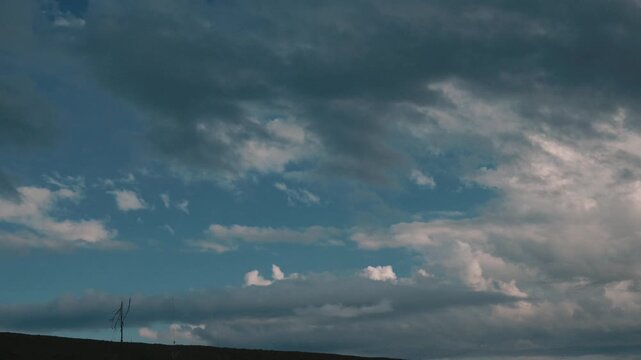 A single withered grass stalk on brown earth beneath a vast, dim sky