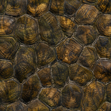 Natural Turtle Shell Seamless Pattern