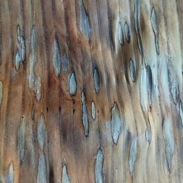 "Close-up texture of dried banana leaf with parallel vein patterns. Golden brown organic background for rustic, traditional, or eco-friendly design."