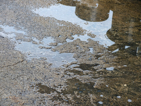 reflect on water and wet floor