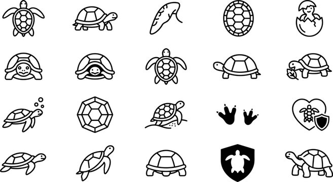 Turtle and tortoise icons, including sea turtles, shells, footprints, and hatching, linear vector illustrations