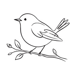 Fototapeta premium Cute bird vector illustration outline on branch. Minimalist line art of small songbird perched on leafy twig. Black and white linear sketch graphic design element.