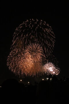 いたばし花火大会　2026年