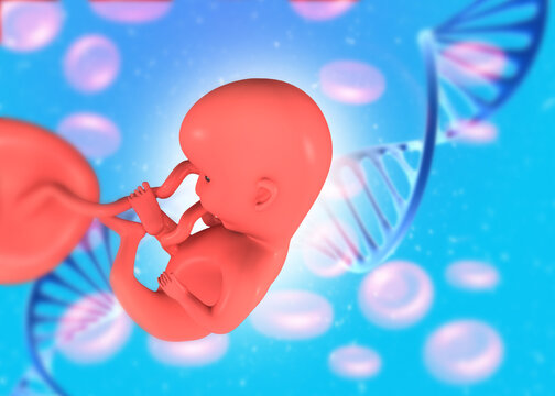 Human fetus model floating next to a glowing DNA strand on a dark abstract background, representing genetic development