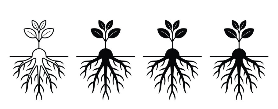 Set of four black and white showing a small plant with leaves above ground and a detailed root system below the soil line, isolated on a white background