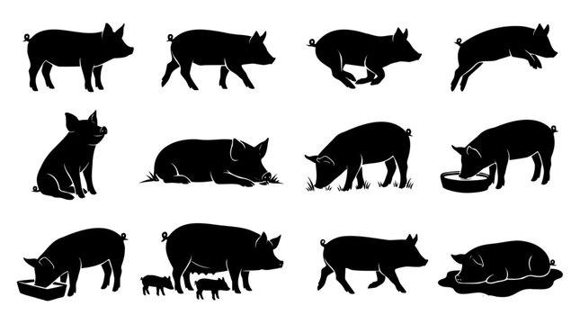 pig silhouettes multiple poses farm animal vector set