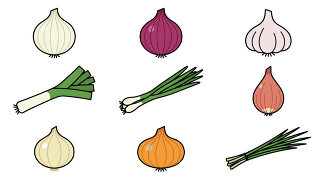 Variety of allium vegetables and onion icons.