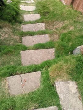 Rustic stone stepping stones in green grass.