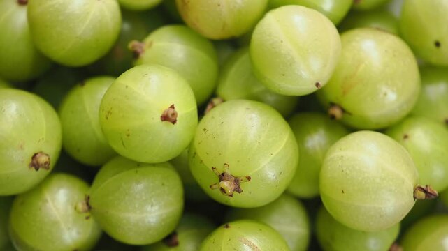 Fresh Green Indian Gooseberries in a Bowl