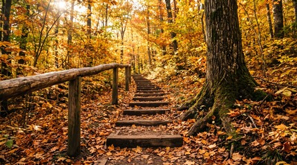 Obraz premium Wooden stairs lead through a golden autumn forest with fallen leaves