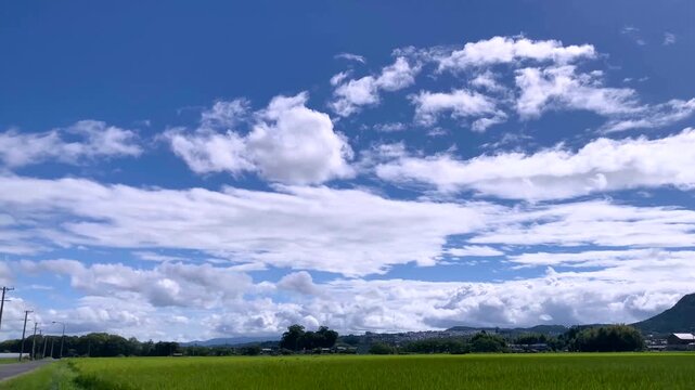 Tilt‑Down 4K Timelapse of Summer Clouds Over Green Fields-seen1