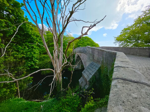 historic Brig o' Balgownie, a 13th-century single-arch medieval bridge spanning the River Don in Old Aberdeen, Scotland