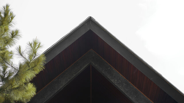 Minimalist low-angle shot of a sharp triangular wooden roof gable framed by pine tree branches against a bright, clear sky.