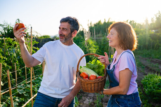Happy farmers harvesting fresh organic vegetables in garden