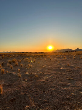 The sun sets low over a wide gravel plain dotted with dry tufts of grass in the Namibian desert