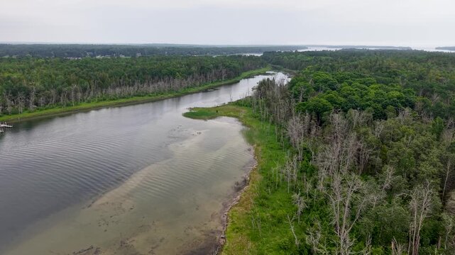 Wide drone view follows winding flooded wetlands between forested banks near Hessel in Michigan Upper Peninsula.