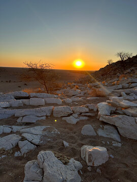 The setting sun touches the horizon above a stony desert slope dotted with bare trees in Namibia