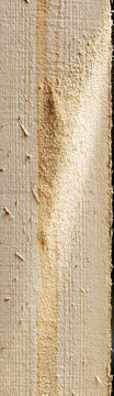Rough cut wooden board with sawdust and natural grain texture. Close up of raw lumber surface for woodworking, carpentry and construction background.