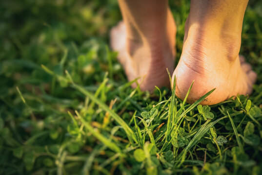 Bare feet walking on green grass and clover